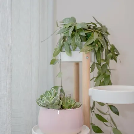 아파트 Primrose *